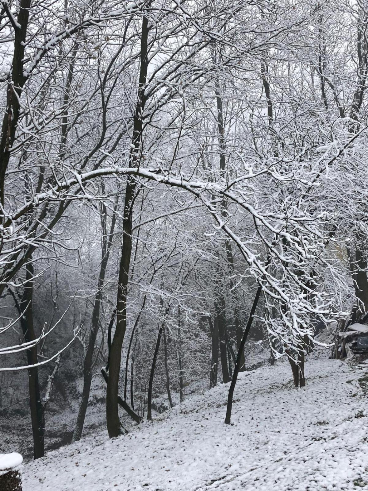 Holiday Home Tunnel Ravne 비소코 외부 사진